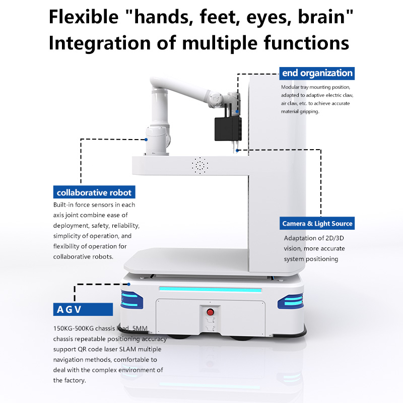 component lifting robot SM-SE：The All - round Pioneer of the Intelligent Industry